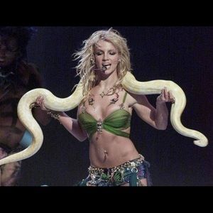 Meet your Posher, Gavin